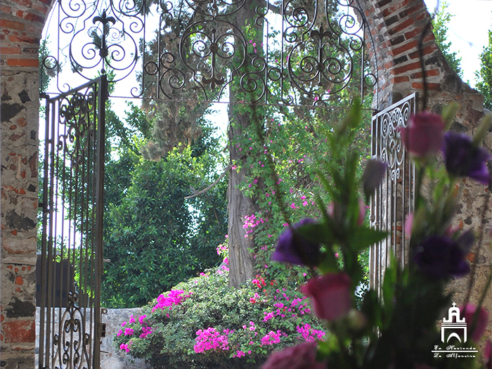 Capilla Ex Hacienda La Alfonsina